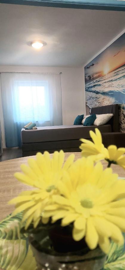 Luna Apartments 巴什卡沃达 外观 照片